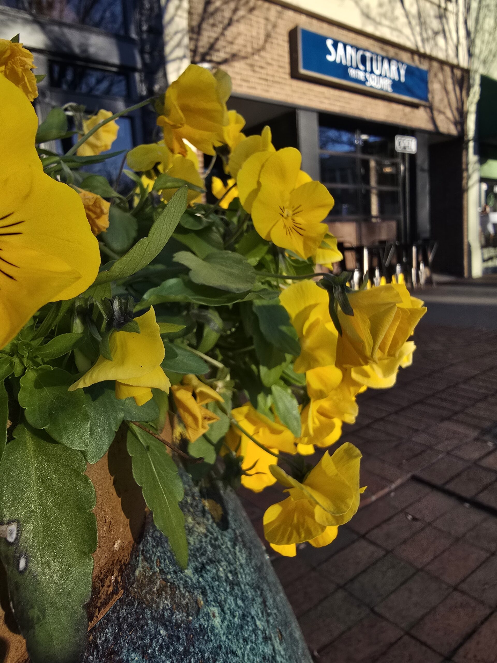 Storefront of Sanctuary on the Square in downtown Gainesville, Georgia